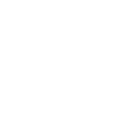 Badge icon